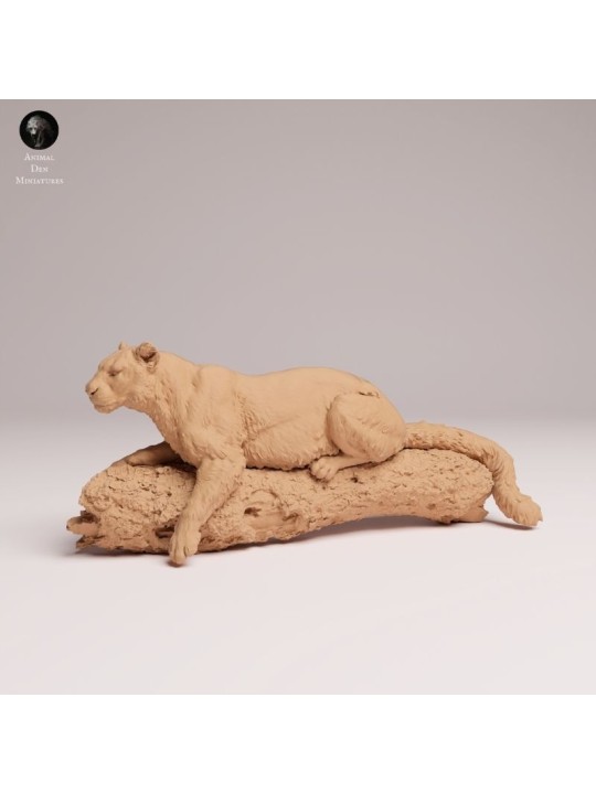 Resting Amur Leopard - Detailed Resin Miniature for Collectors