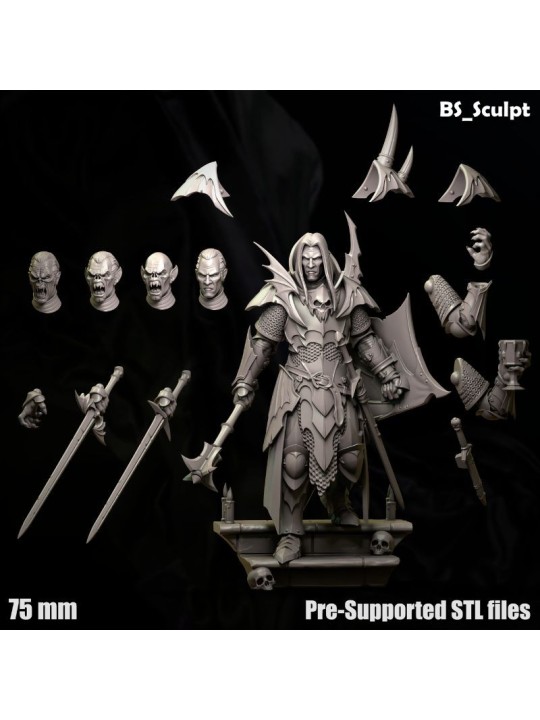 Vampire Lord - 75 mm Resin Miniature for Painters and Collectors
