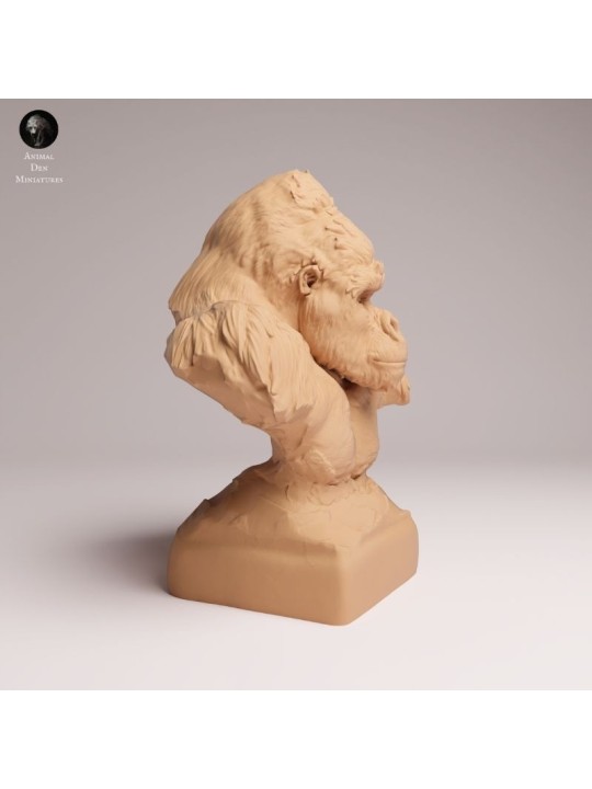 Mountain Gorilla Calm Bust - 1/12 & 1/6 Scales | Oda Models