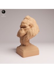 Mountain Gorilla Calm Bust - 1/12 & 1/6 Scales | Oda Models
