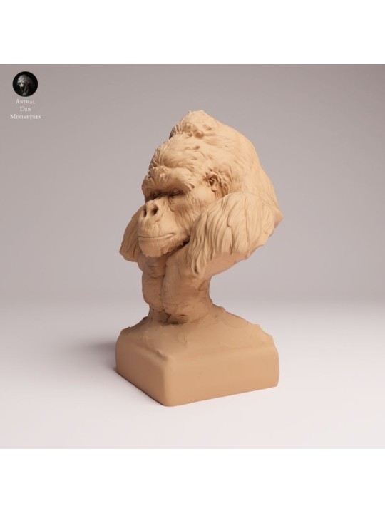 Mountain Gorilla Calm Bust - 1/12 & 1/6 Scales | Oda Models