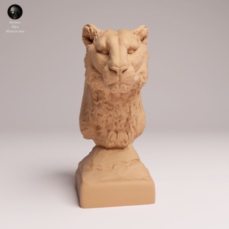 Amur Leopard Bust - 1/12 & 1/6 Scales | Oda Models
