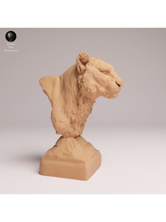 Busto Leopardo del Amur - Escalas 1/12 y 1/6 | Oda Models