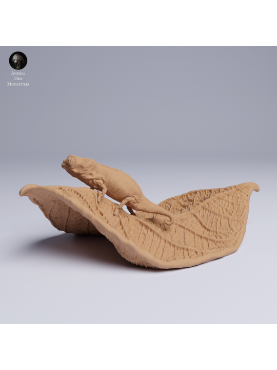 Camaleón en Hoja - Miniatura Nosy Hara | Oda Models