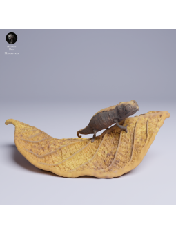 Chameleon on Leaf - Resin Miniature