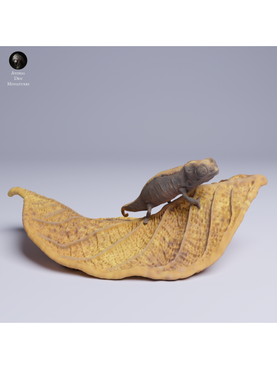 Chameleon on Leaf - Resin Miniature