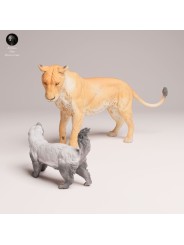 Lioness Facing Honey Badger – Wildlife Diorama In 3D Resin