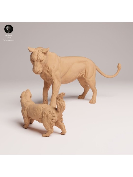 Leona Frente A Tejón De La Miel – Escena Naturalista En Miniatura 3D