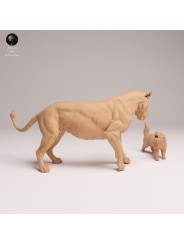 Lioness Facing Honey Badger – Wildlife Diorama In 3D Resin