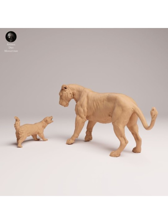 Lioness Facing Honey Badger – Wildlife Diorama In 3D Resin