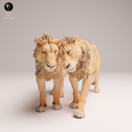 Pareja De Leones Machos – Escena Naturalista En Miniatura 3D