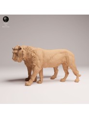 Pair Of Male Lions – African Wildlife Diorama In 3D Resin