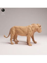 Pareja De Leones Machos – Escena Naturalista En Miniatura 3D