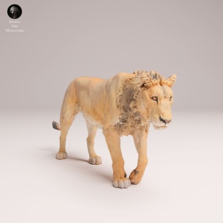 Young Male Lion Walking – African Wildlife Miniature In 3D Resin