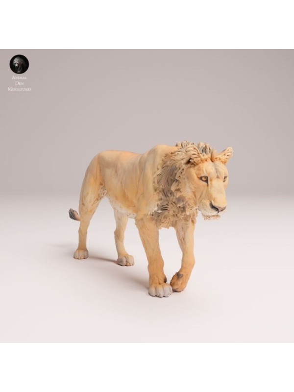 Young Male Lion Walking – African Wildlife Miniature In 3D Resin