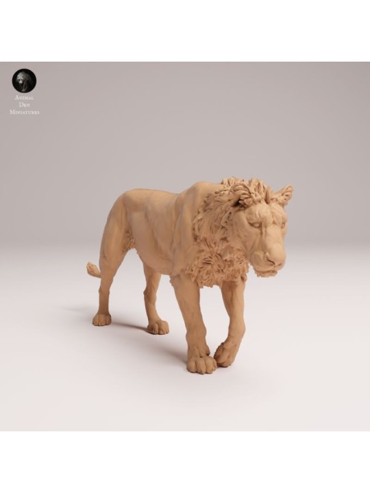 Young Male Lion Walking – African Wildlife Miniature In 3D Resin