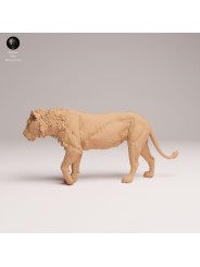 Young Male Lion Walking – African Wildlife Miniature In 3D Resin