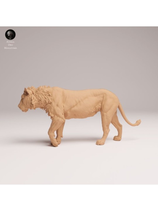 Young Male Lion Walking – African Wildlife Miniature In 3D Resin