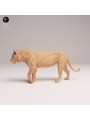 León Joven Macho Caminando – Miniatura De Fauna Africana En 3D