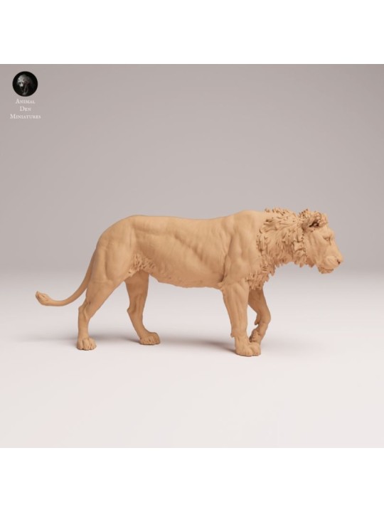 León Joven Macho Caminando – Miniatura De Fauna Africana En 3D