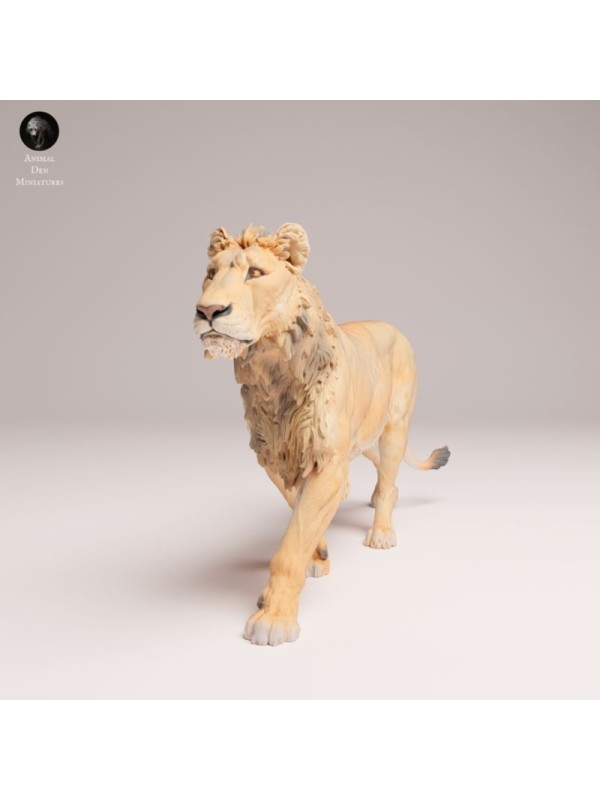 Young Male Lion Head Held High – African Wildlife Miniature In 3D Resin