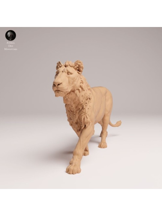 Young Male Lion Head Held High – African Wildlife Miniature In 3D Resin