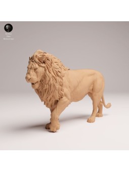 León Macho de Pie Enfadado – Miniatura de Fauna Africana en Resina 3D