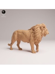 León Macho de Pie Enfadado – Miniatura de Fauna Africana en Resina 3D