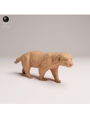 Tejón de la Miel – Miniatura de Fauna Africana en Resina 3D