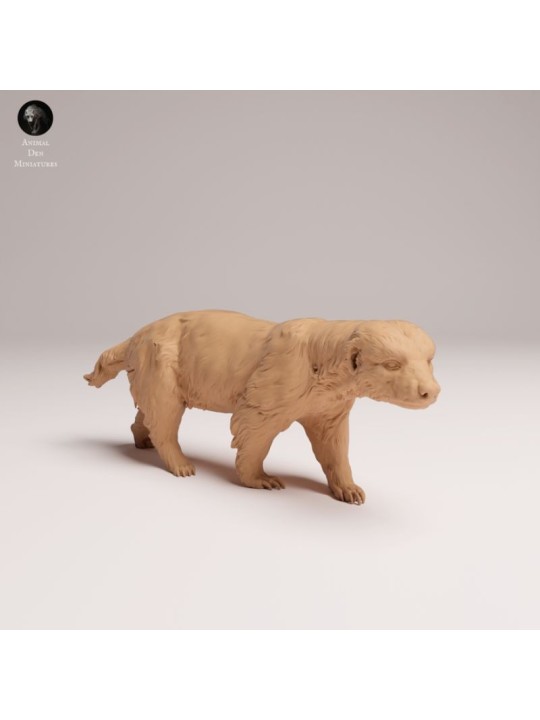 Tejón de la Miel – Miniatura de Fauna Africana en Resina 3D