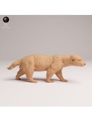 Tejón de la Miel – Miniatura de Fauna Africana en Resina 3D