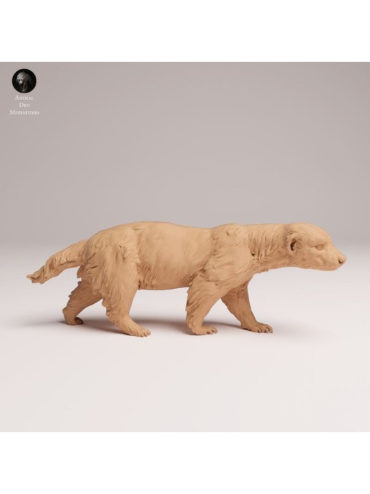 Honey Badger – African Wildlife Miniature in 3D Resin