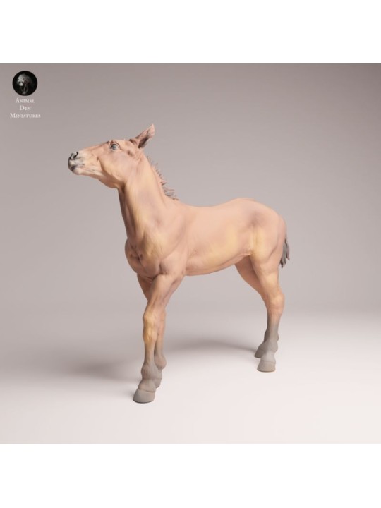 Mustang Foal | Resin Miniature