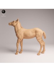 Potro de Mustang | Miniatura en Resina