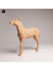 Mustang Foal | Resin Miniature