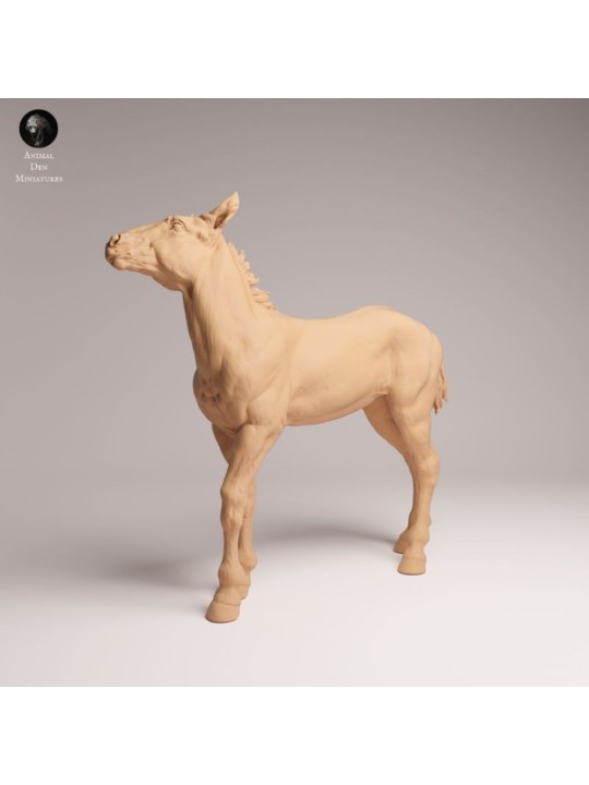 Mustang Foal | Resin Miniature