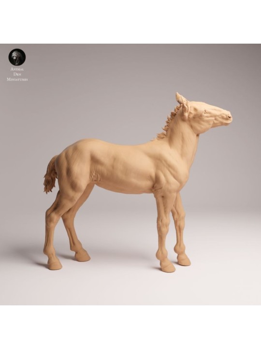 Potro de Mustang | Miniatura en Resina