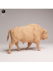 Bisonte Americano Caminando | Miniatura en Resina
