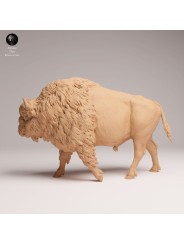 Bisonte Americano Caminando | Miniatura en Resina