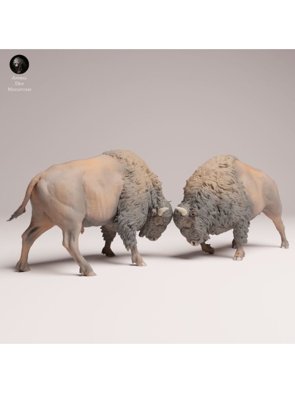American Bisons Fighting | Resin Miniature