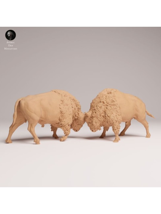American Bisons Fighting | Resin Miniature