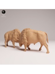 American Bisons Fighting | Resin Miniature