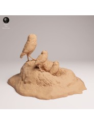 Burrowing Owls in Burrow Scene | Resin Miniature