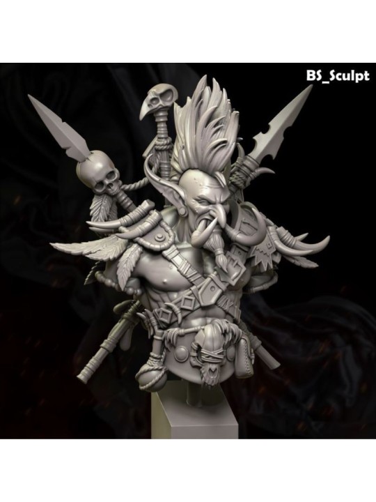 Master of the Shadows | 60 mm Resin Bust