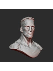 Connor | Busto Resina Escala 1/12