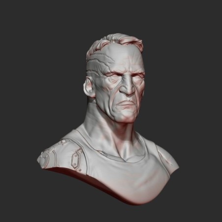 Connor | 1/12 Resin Bust