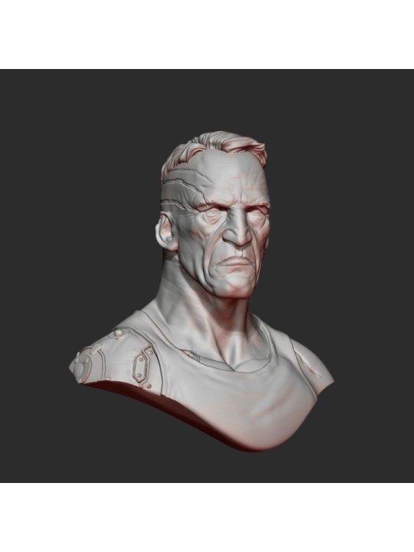 Connor | Busto Resina Escala 1/12