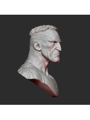 Connor | 1/12 Resin Bust