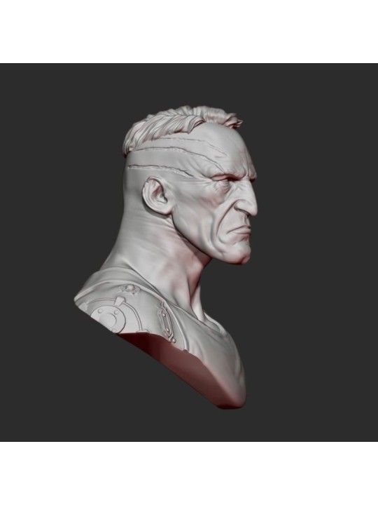 Connor | Busto Resina Escala 1/12