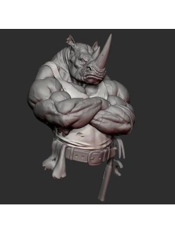 Rhin Buff | Busto de Resina 1/10